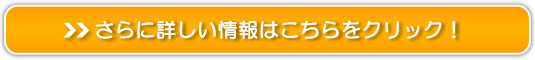 KiI[CWFj̔TCg